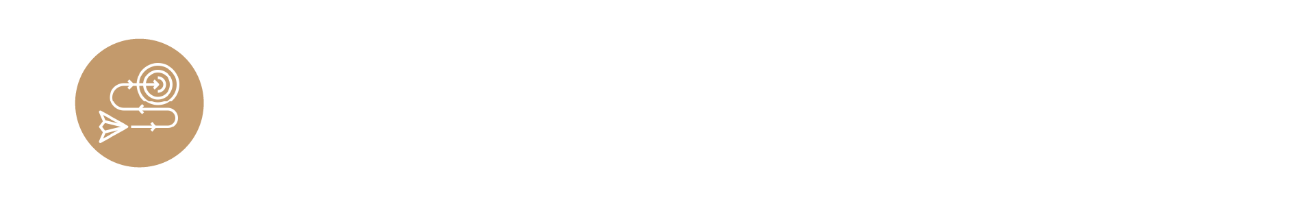 策略規劃 Strategic Planning